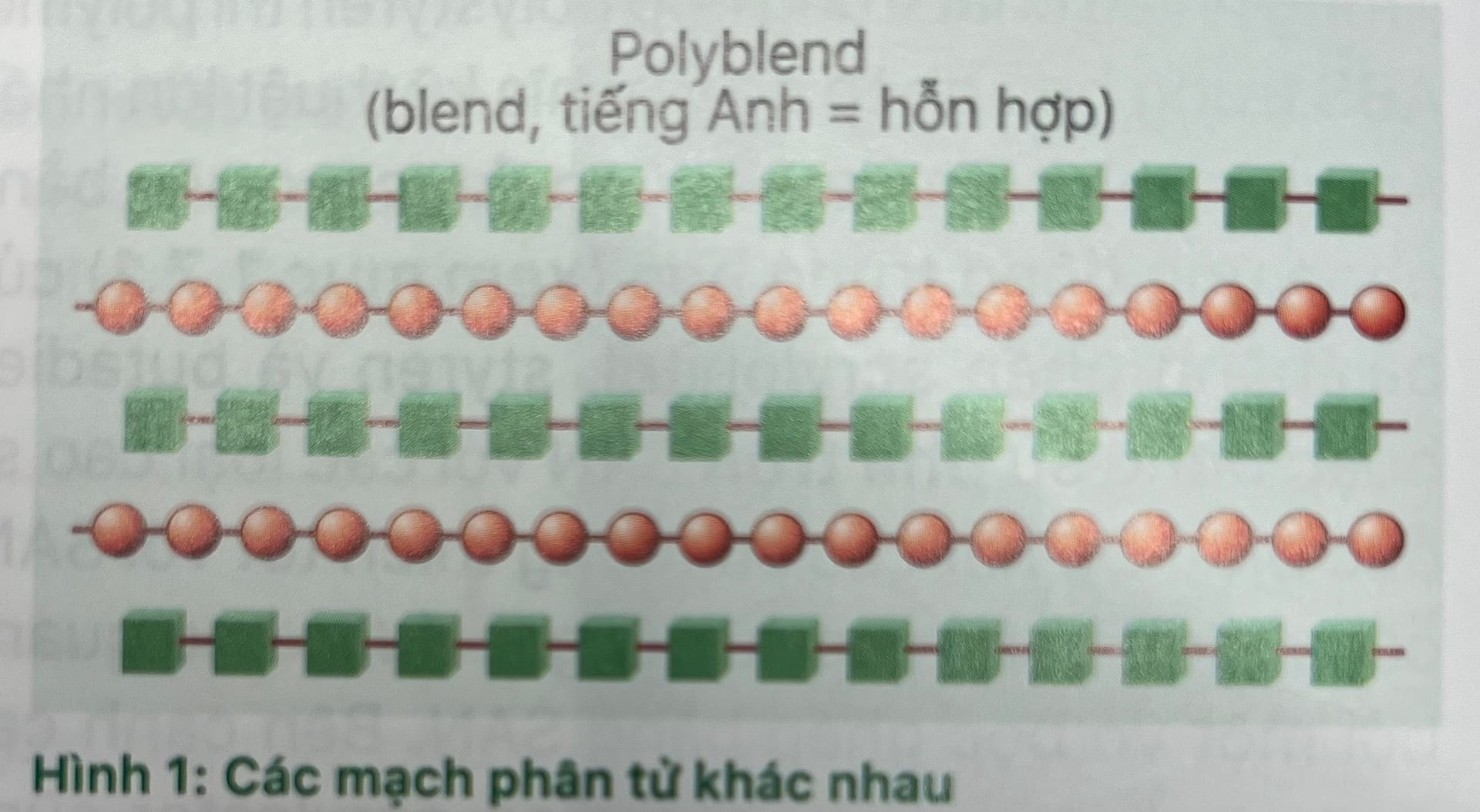 Tìm hiểu hỗn hợp POLYMER cùng Fine Mold