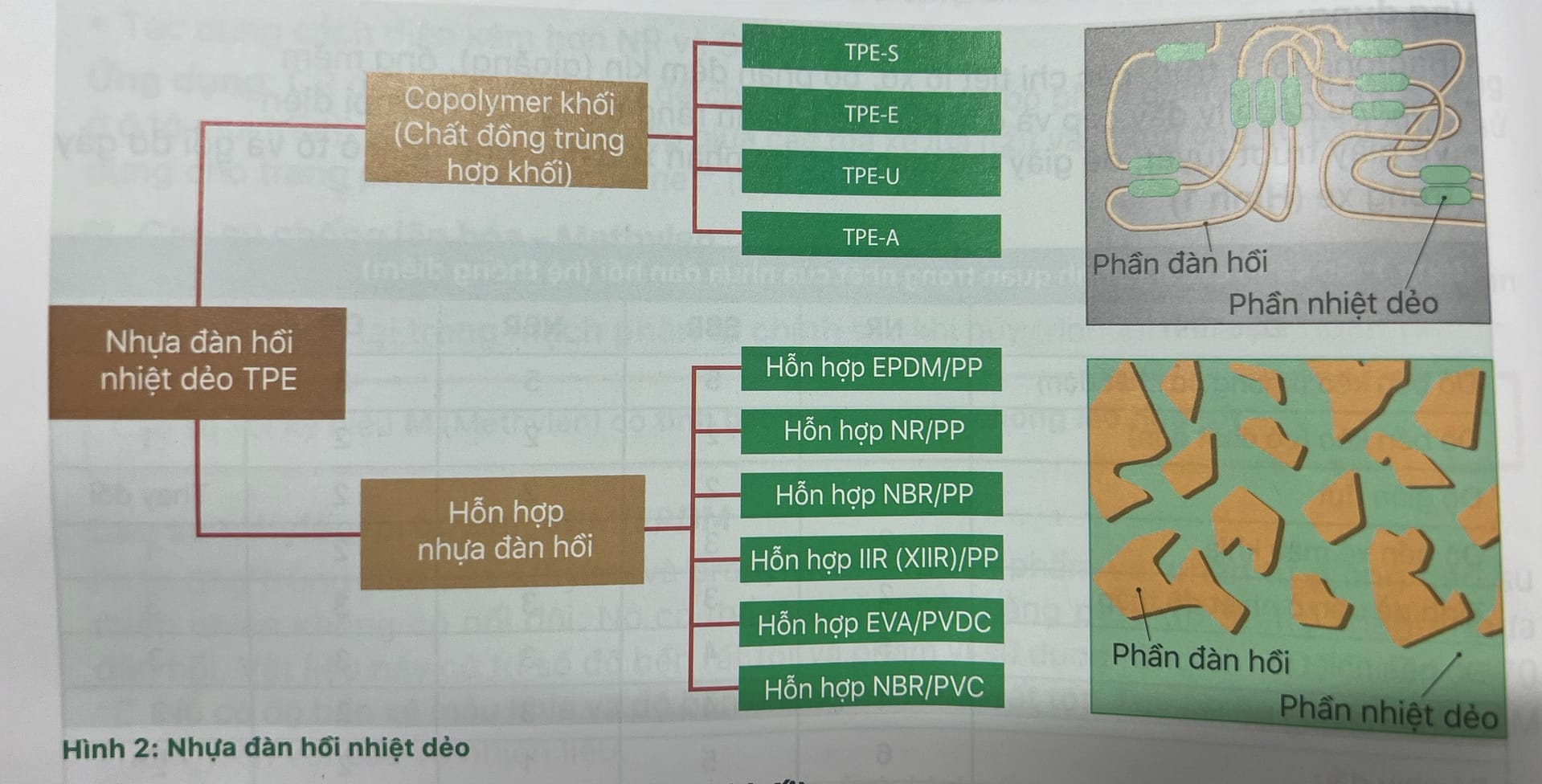 Cùng tìm hiểu nhựa dẻo đàn hồi nhiệt dẻo TPE cùng Fine Mold